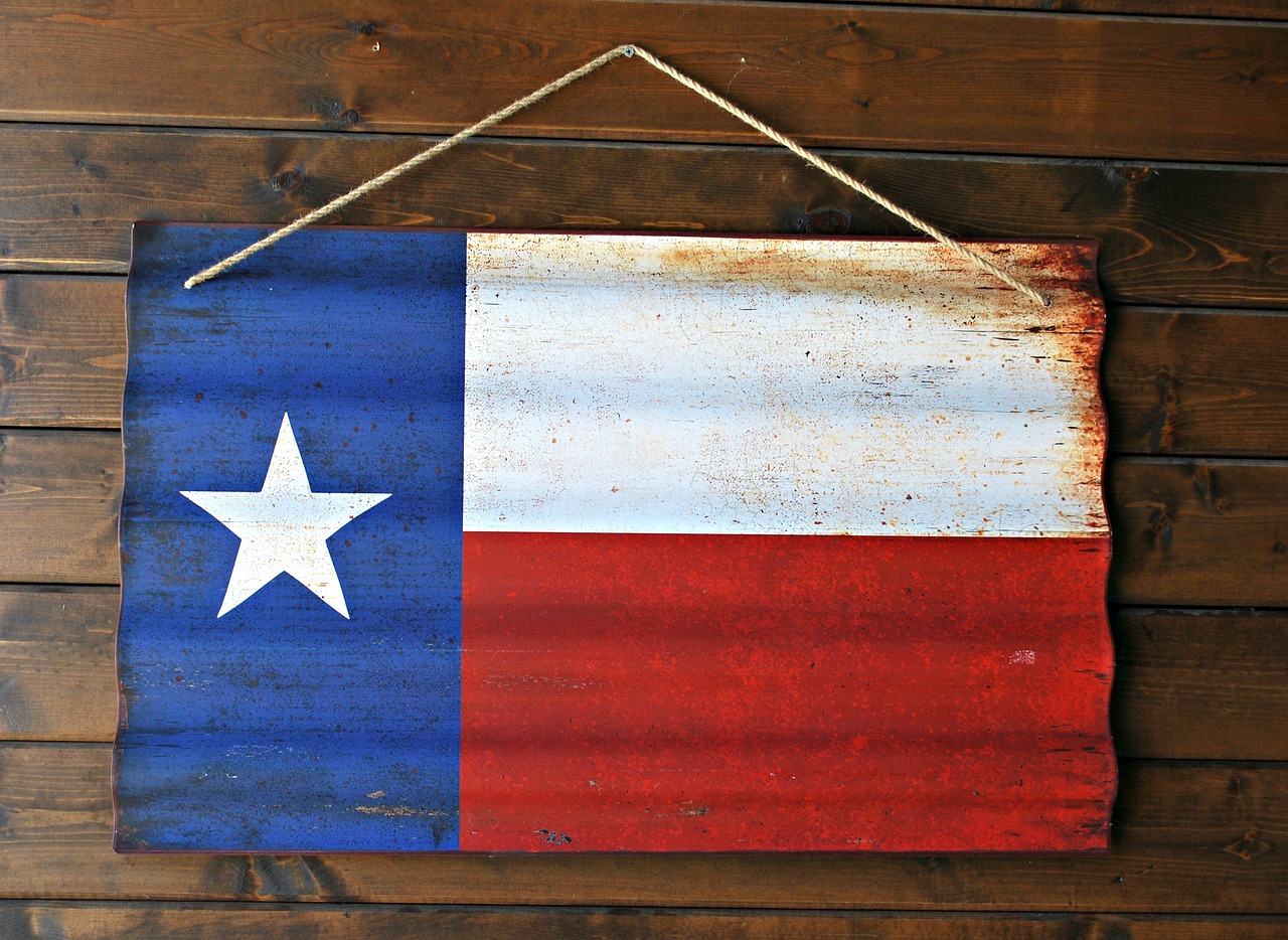 renew texas drivers license flag